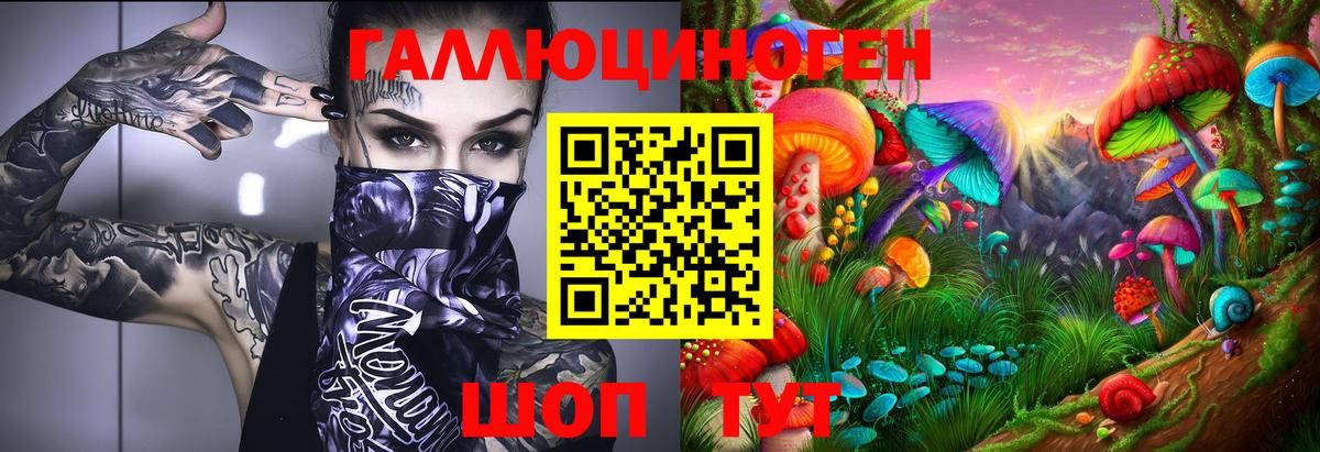 Псилоцибиновые грибы мицелий Лабинск